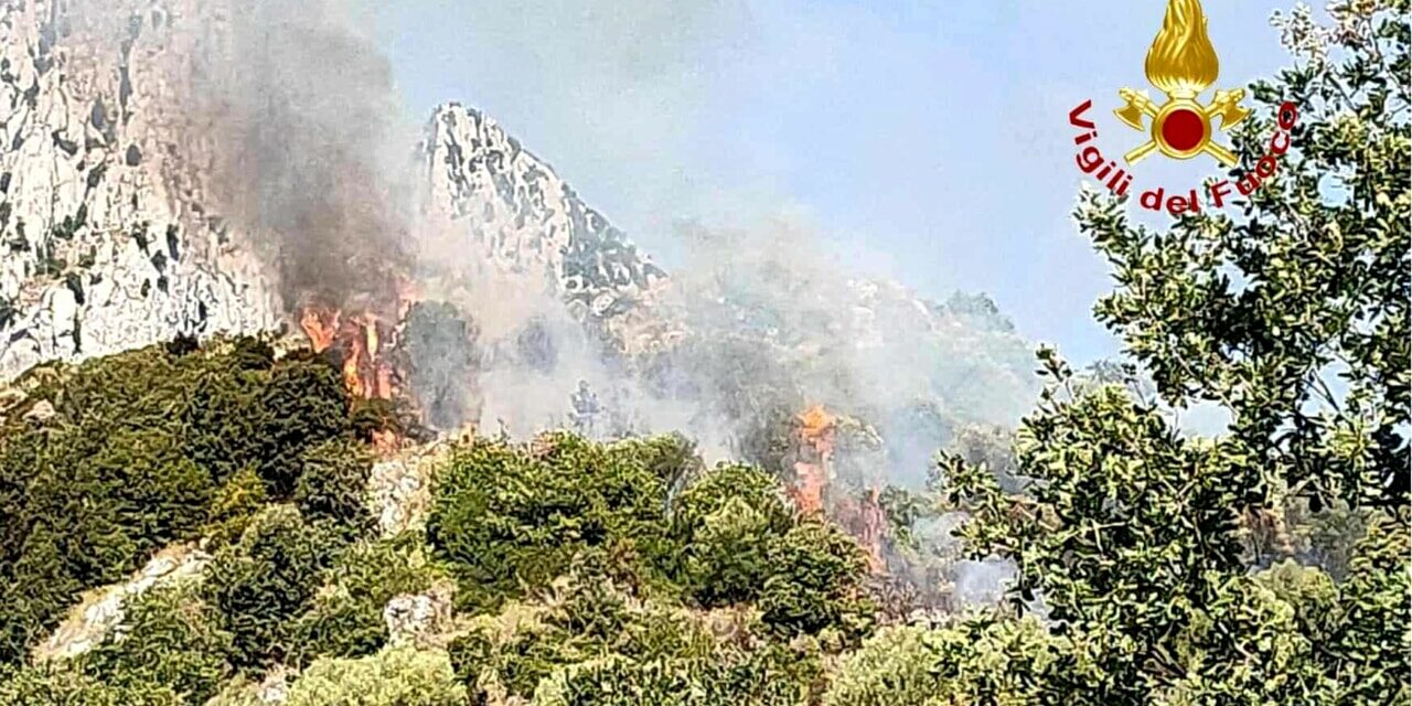 Incendi da nord a sud della provincia: Ferragosto di fuoco